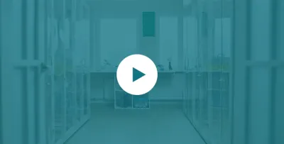 Click aqui e conheça a Vitalis Clínica Veterinária